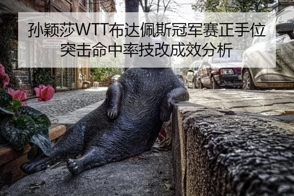 sun-ying-sha-bu-da-pei-si-guan-jun-sai-zheng-shou-wei-tu-ji-ming-zhong-lv-ji-gai-cheng-xiao-fen-xi-2-297.jpg