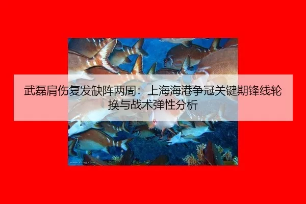 wu-lei-jian-shang-fu-fa-que-zhen-liang-zhou-shang-hai-hai-gang-zheng-guan-guan-jian-qi-feng-xian-lun-huan-yu-zhan-shu-2-511.jpg